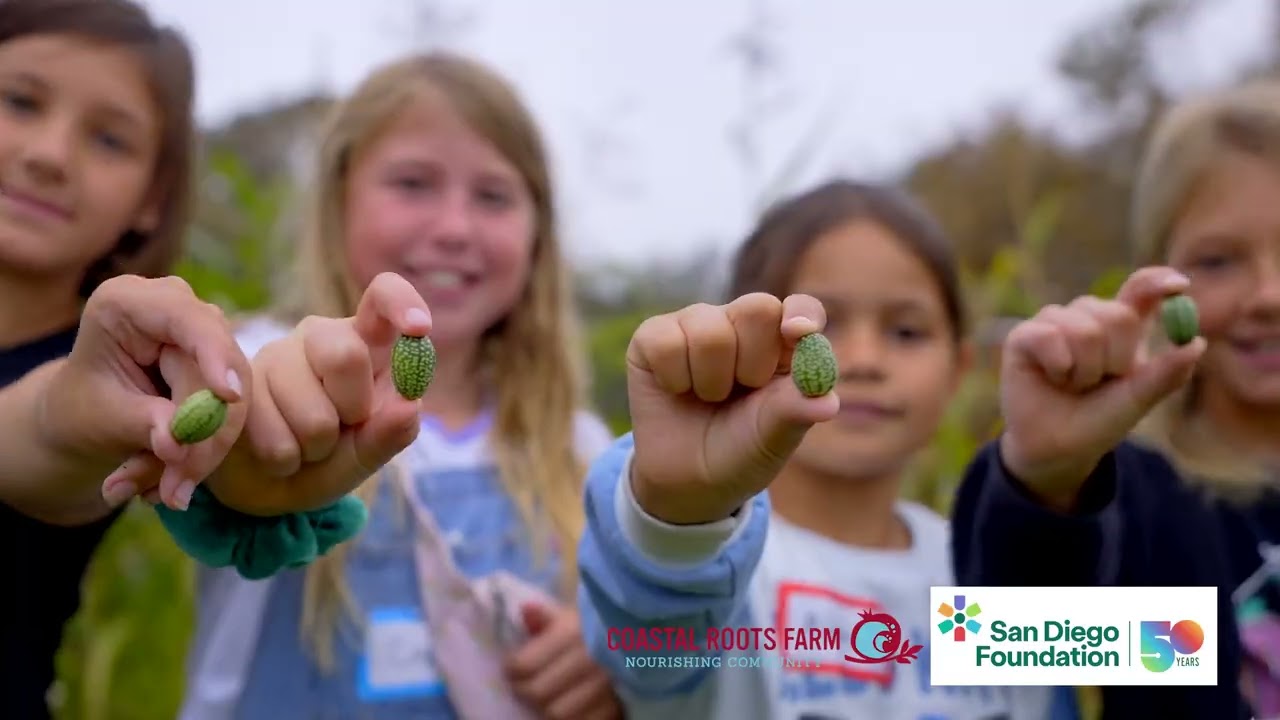 Rooted in Impact: How Coastal Roots Farm Serves San Diego County