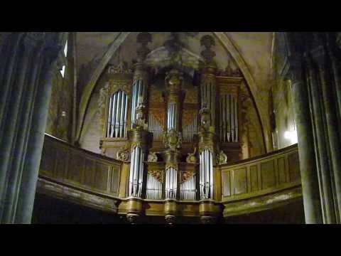 Choral de Noel Viens Sauveur des paiens BWV 659 J.S.BACH Pierre ASTOR orgue  St Nicolas Neufchâteau