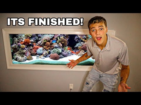My SALTWATER REEF AQUARIUM is COMPLETE!! (part 2)