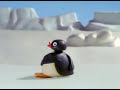 Pingu Show Opening