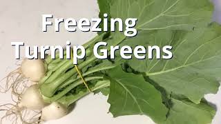 Freezing Turnip Greens