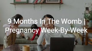 9 Months In The Womb | Pregnancy Week-By-Week | #EP50