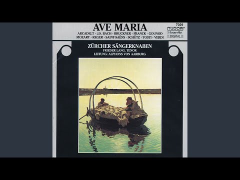 Ave Maria, Op. 52 No. 6, D. 839 "Hymne an die Jungfrau": Ellen's Gesang III (Ave Maria!) , Op....