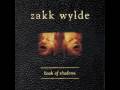 Zakk Wylde - Road back home 