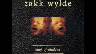 Zakk Wylde -  Road back home