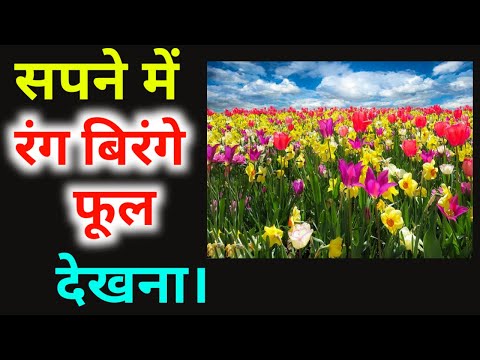 सपने में रंग बिरंगे फूल देखना।Sapne me rang birange phool Dekhna।Seeing colourful flowers in dream।