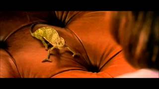 pepito The Blend Master