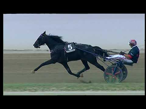 Napoli Trotto 10/09/2021 - 6ª corsa