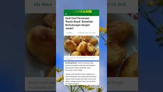 Download lagu Tergoda Rondo Royal Jepara #shortvideo mp3 Download lagu Tergoda Rondo Royal Jepara #shortvideo mp3