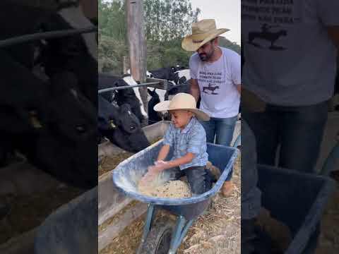 MAIS UM DIA NA LIDA NORMAL #SHORTS