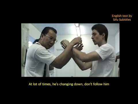 Wan Kam Leung on seven styles of Ving Tsun punching (English subtitled)