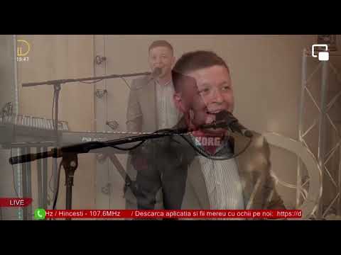 Ion Nelu ‘’Oana,oana’’ - la Diaspora Media