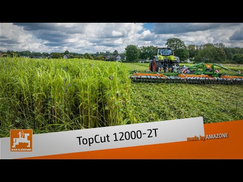 TopCut 12000-2T in Zwischenfrucht | AMAZONE