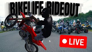 🔴 LIVE - MX BIKES ❗️