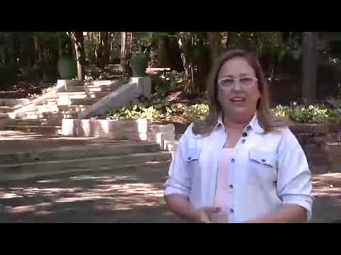 Saúde e Bem Estar : Sorvetes 02/11/2018