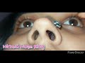 Wire Nose Pin Silver Nose Pin Flower Nose Pin