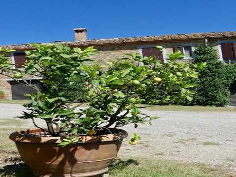 Due Piani - Barberino di Val d'Elsa - Italy