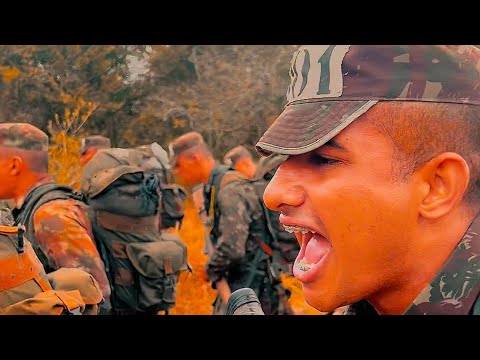 ☀️🌵 RASPARAM MINHA CABEÇA - CANÇÕES DE TFM