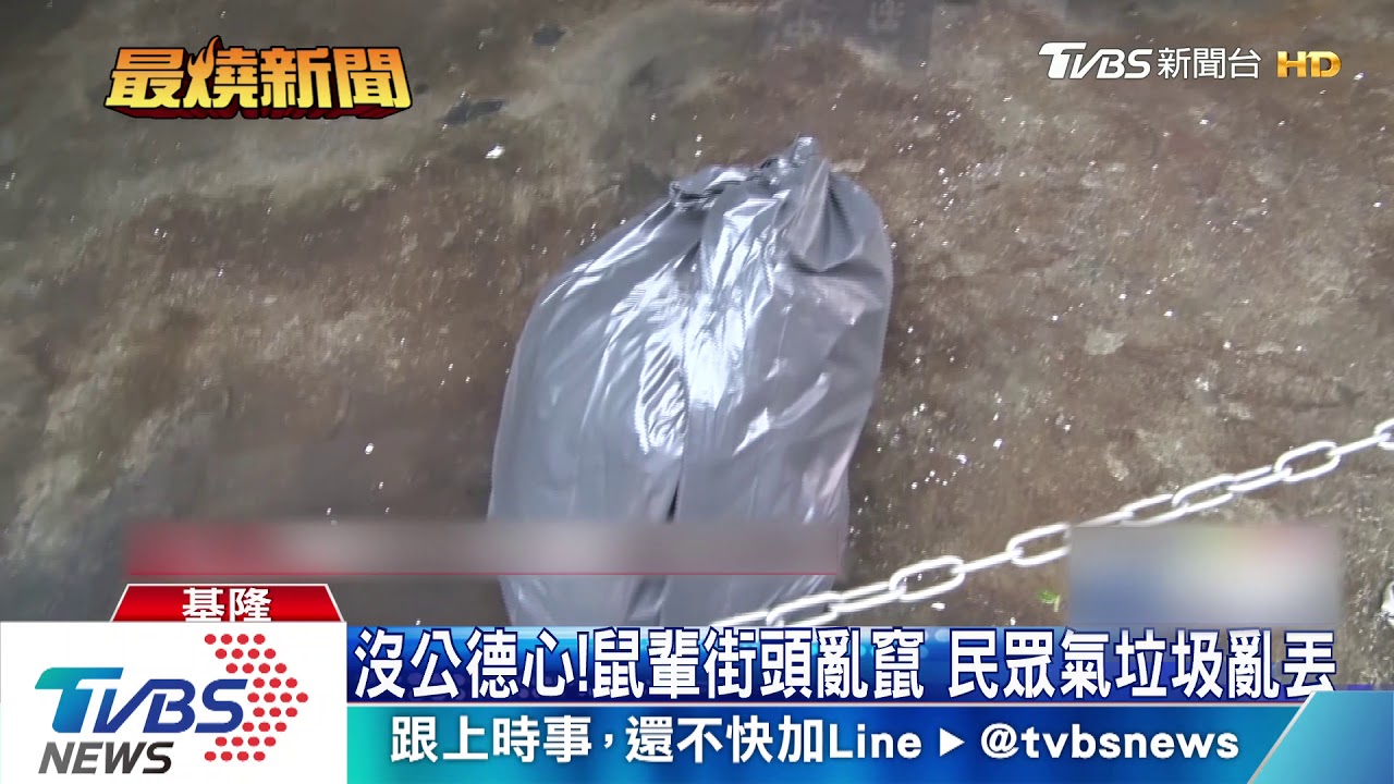 保麗龍集中區遭亂丟垃圾 老鼠「聞香」而來