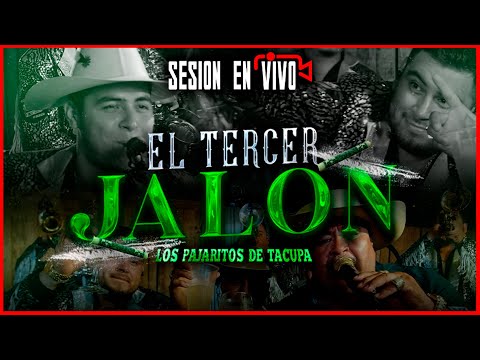 El Tercer Jalon - Los Pajaritos de Tacupa (SESION EN VIVO 🔴)
