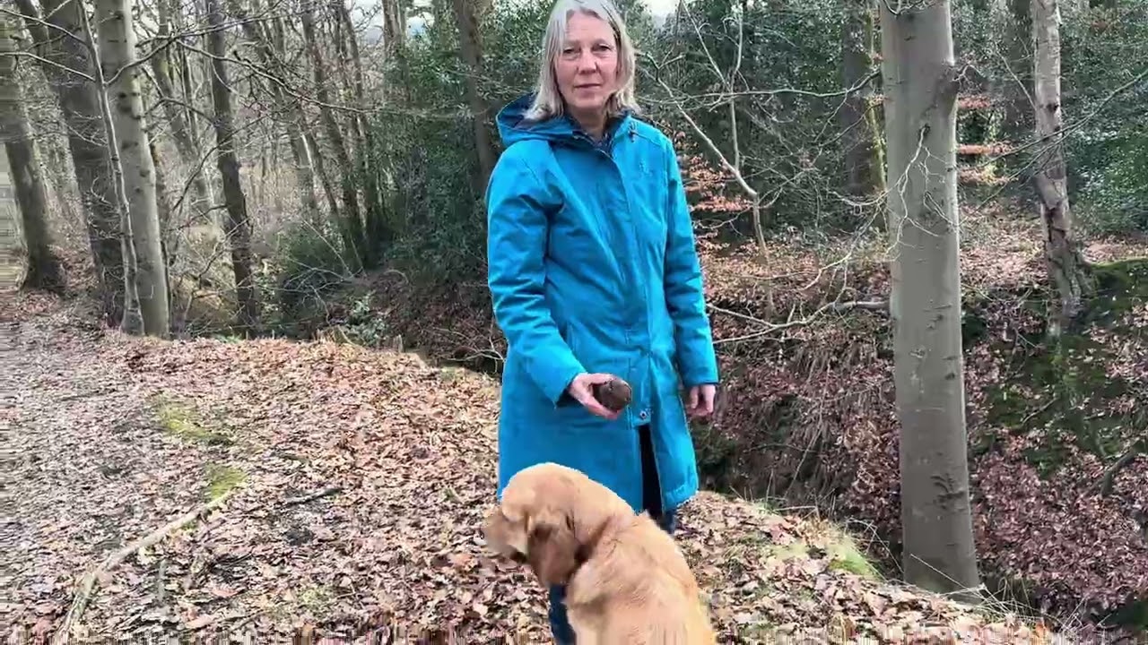 Futterbeutel über die Schlucht: Impulskontrolle trifft Sicherheit