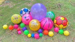 Download lagu Searching for Basketballs, Soccer Balls, Colorful Balls, Surprise Eggs, Ducks, Toy Cars, Trucks, ... mp3