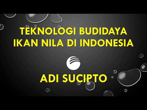 Bioflok Nila video thumbnail