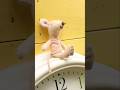 Hickory Dickory Dock #nurseryrhymes #hickorydickorydock #mouse #toys #singalong #toddlers #preschool