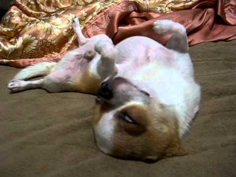 Spooky Eye [20110701]