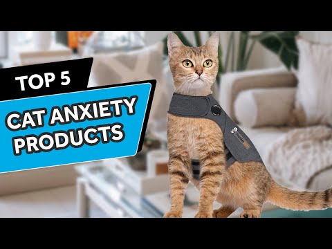 Top 5 Cat Anxiety Calming Products
