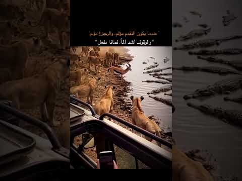 عمى البصيرة💔 #اكسبلور #تصميمي #اقنباسات #لايك #لايك_اشتراك #منوعات #متابعه #دويتو