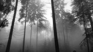 Taake - Over Bjørgvin graater Himmerik VII