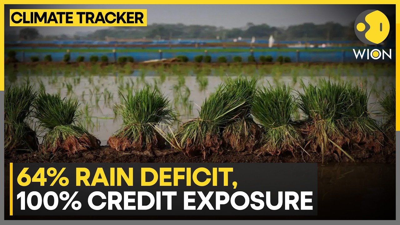 India's Drought Risk: Monsoon Fails, Banks Feel It First in India | WION Climate Tracker