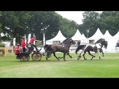 DE RONDE Piet, NED, CAI 3# Beekbergen, HORSE FOUR IN HAND, Marathon Ob 6, 05 08 2017