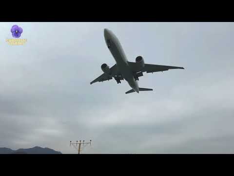 Plane Spotting : AeroLogic landing at Hong Kong Airport
