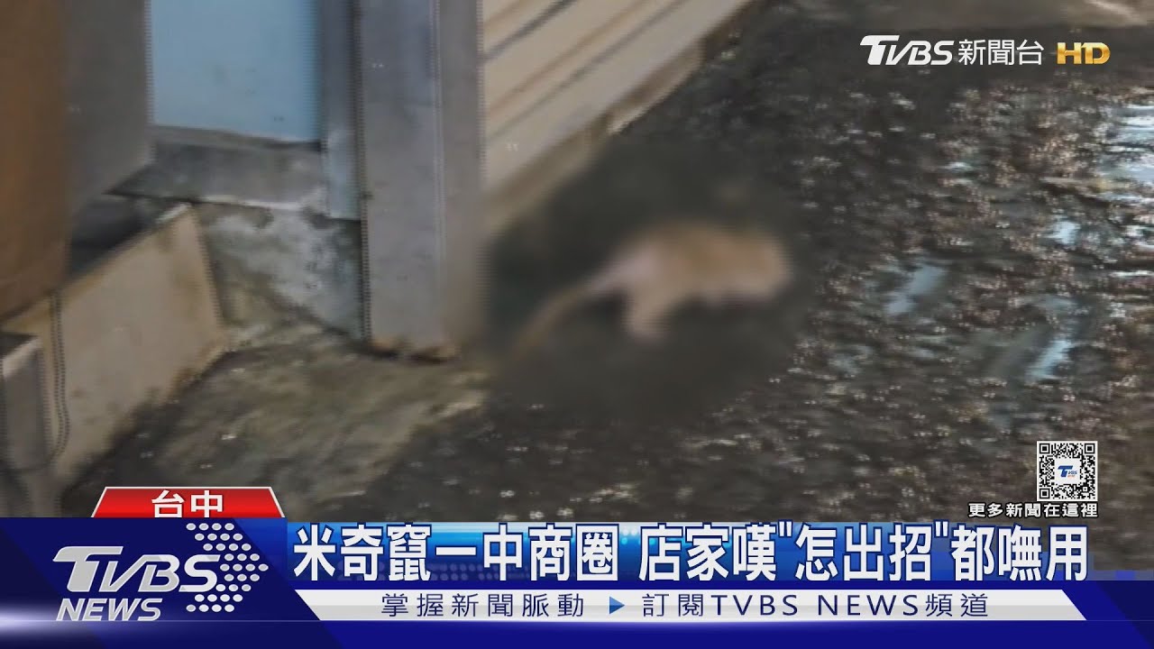 米奇竄一中商圈 店家嘆「怎出招」都嘸用