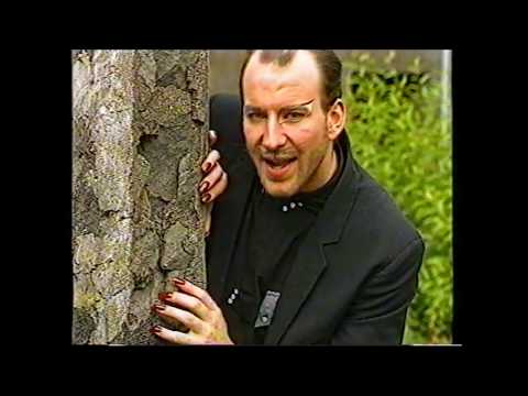 Skriðjöklar - Mikki refur