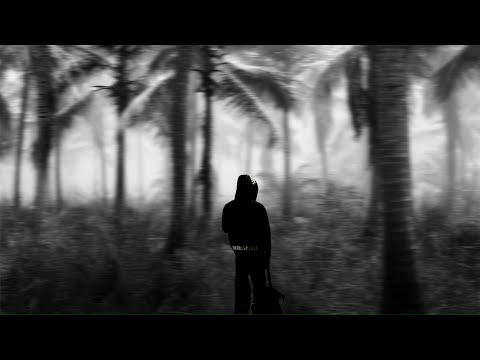 Video thumbnail Tfb8QgUkALM