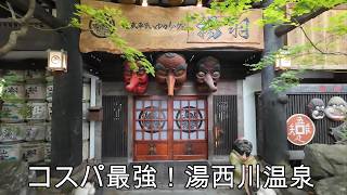 【神コスパ】6種の貸切風呂が豪華すぎる湯西川温泉「揚羽」が3000円で一生無料!?