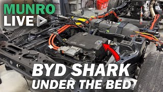 There's a Monster Under the Bed of the BYD Shark!