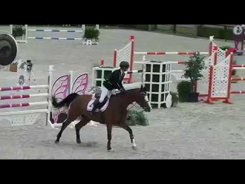 Qwina, 9yo by Quasimodo Z x Calvados, 135/140 CSIYR Valkenswaard 2017