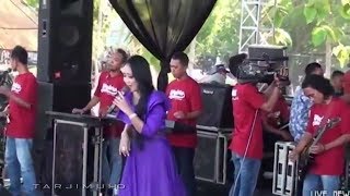 Download lagu New Palapa Benci Voc  Anisa Rahma HD mp3
