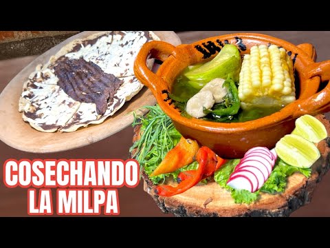 EXQUISITO CALDO DE GUIAS OAXAQUEÑO SABOR Y TRADICIÓN DE MI PUEBLO / #ConSaborAMexico