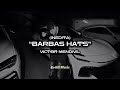 Barbas Hats Victor Mendivil Inedita