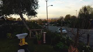 Rain Total for Jan 31 2019