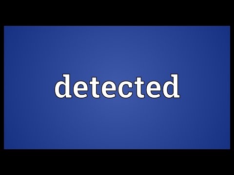 Detected Meaning