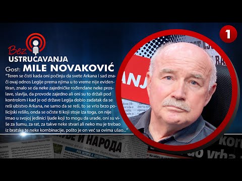 BEZ USTRUČAVANJA - Mile Novaković: Arkan je pušten niz vodu, država je umešana u njegovo ubistvo!