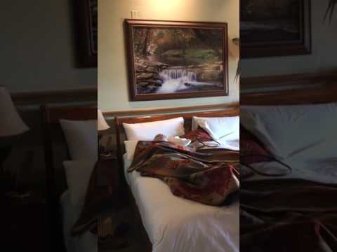 download lagu mp3 mp4 Big Cedar Rates, download lagu Big Cedar Rates gratis, unduh video klip Big Cedar Rates