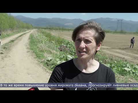 28.05.2026 Сахалинские аграрии на треть уже засеяли свои поля овощами
