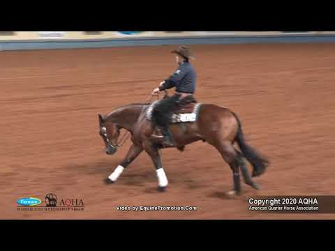 XTRA NEEDS A DRINK shown by TREVOR DARE   2020 AQHA World Show Jr  Reining, Finals